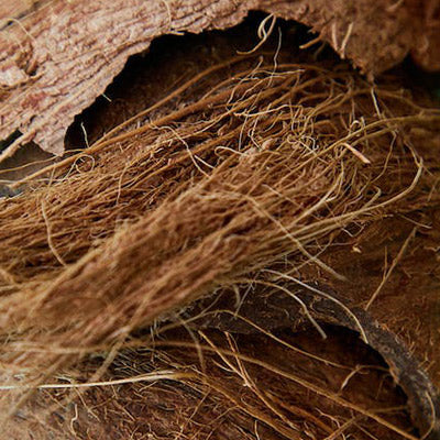 Close up photo of coconut coir.